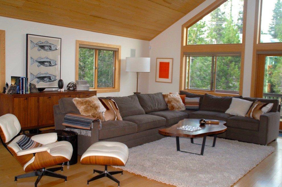 living room decorating ideas and designs Remodels Photos Stephanie Zaharias Design Menlo Park California California contemporary-family-room