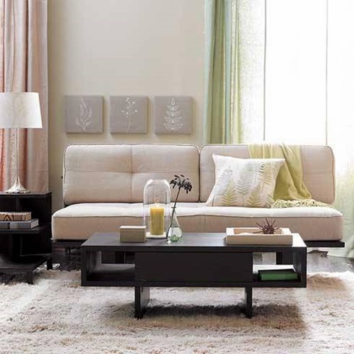 Living Room Interior Design Advantages 
