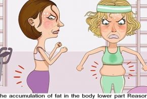 Reasons for the accumulation of fat in the lower part of your body